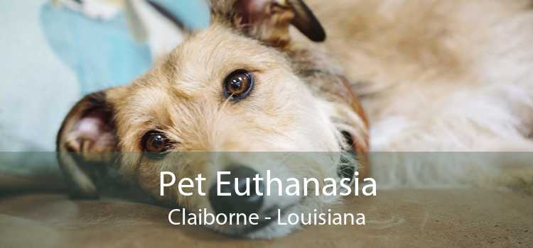 Pet Euthanasia Claiborne - Louisiana