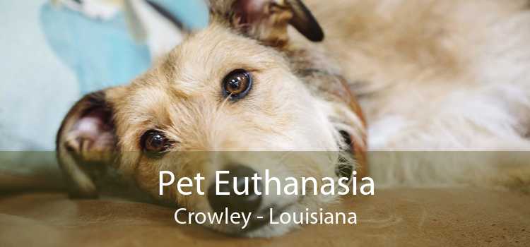 Pet Euthanasia Crowley - Louisiana