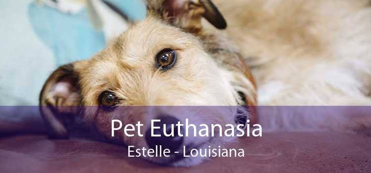 Pet Euthanasia Estelle - Louisiana