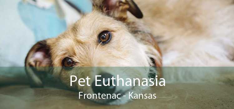Pet Euthanasia Frontenac - Kansas