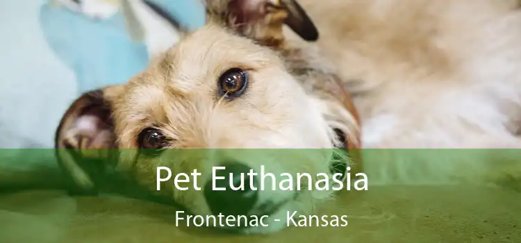 Pet Euthanasia Frontenac - Kansas