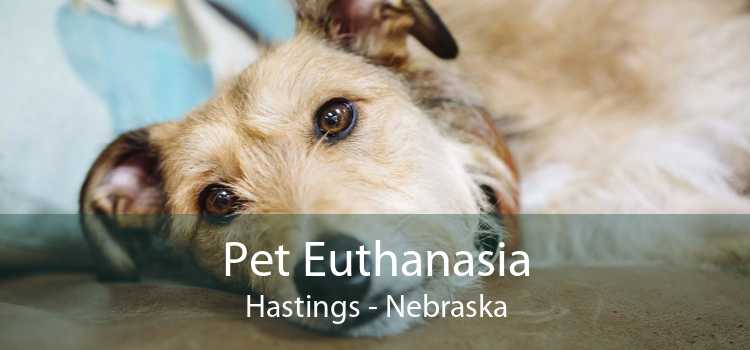 Pet Euthanasia Hastings - Nebraska