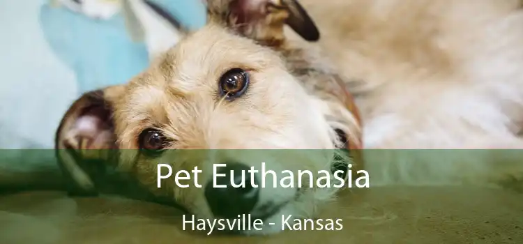 Pet Euthanasia Haysville - Kansas