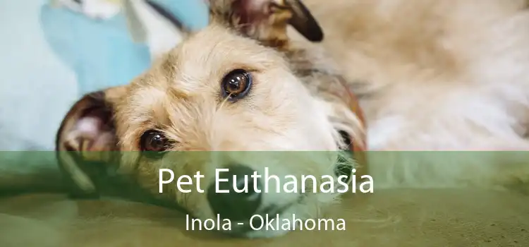 Pet Euthanasia Inola - Oklahoma