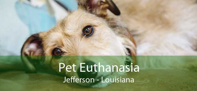 Pet Euthanasia Jefferson - Louisiana