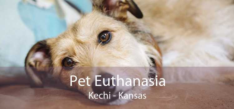 Pet Euthanasia Kechi - Kansas