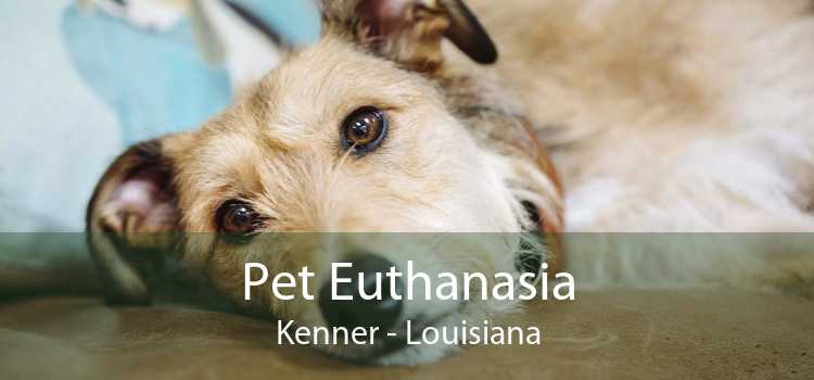 Pet Euthanasia Kenner - Louisiana