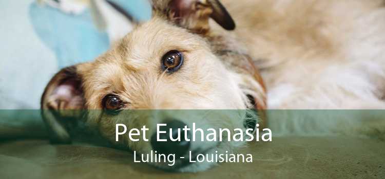 Pet Euthanasia Luling - Louisiana