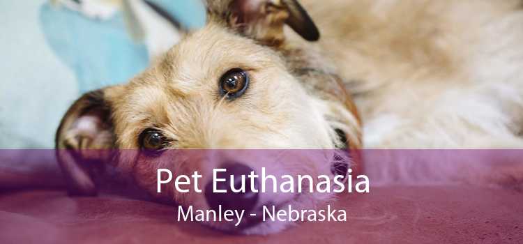 Pet Euthanasia Manley - Nebraska