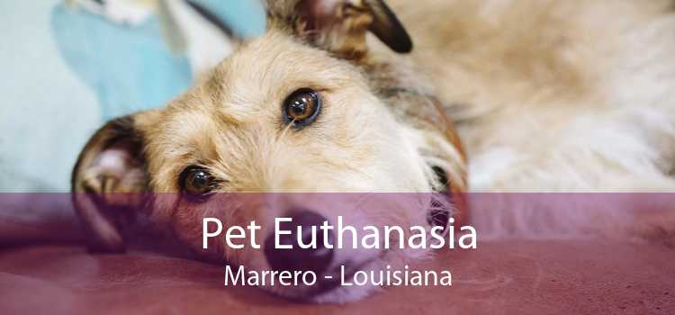 Pet Euthanasia Marrero - Louisiana