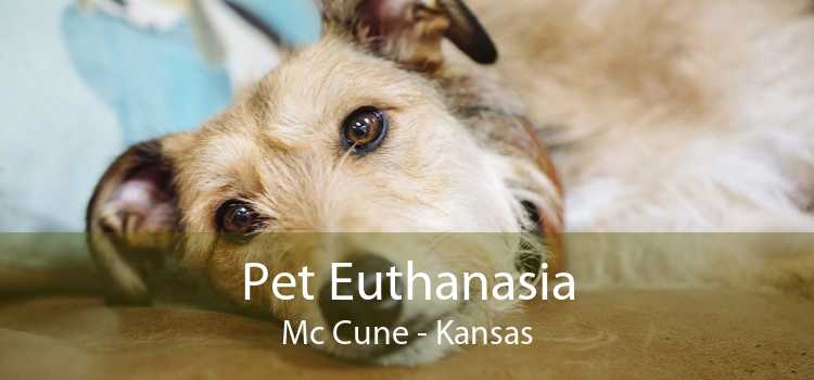 Pet Euthanasia Mc Cune - Kansas
