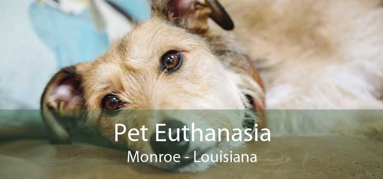 Pet Euthanasia Monroe - Louisiana