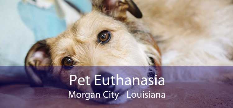 Pet Euthanasia Morgan City - Louisiana