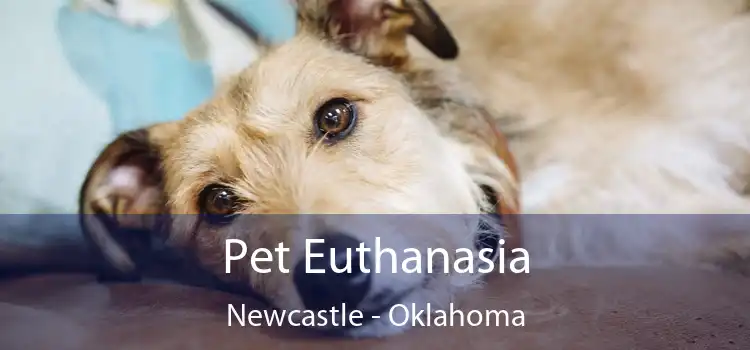 Pet Euthanasia Newcastle - Oklahoma