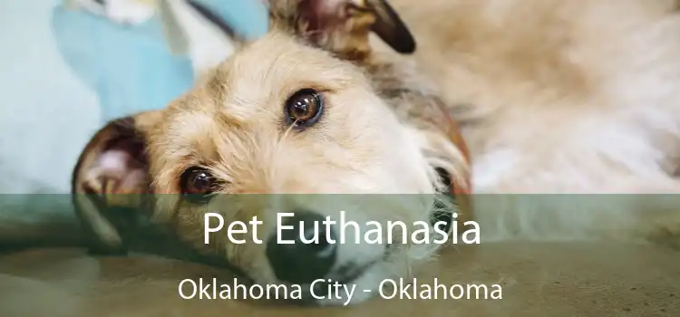Pet Euthanasia Oklahoma City - Oklahoma