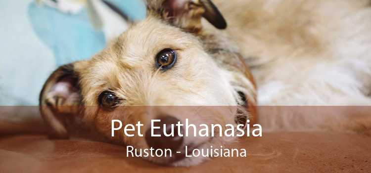 Pet Euthanasia Ruston - Louisiana