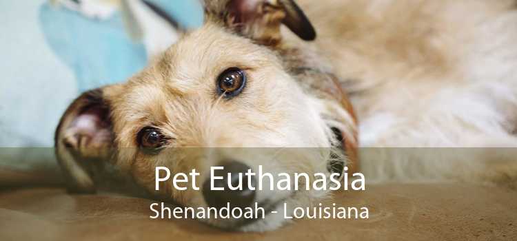 Pet Euthanasia Shenandoah - Louisiana