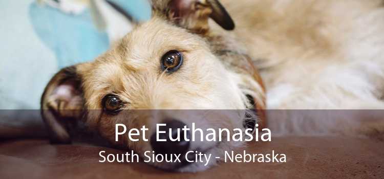 Pet Euthanasia South Sioux City - Nebraska