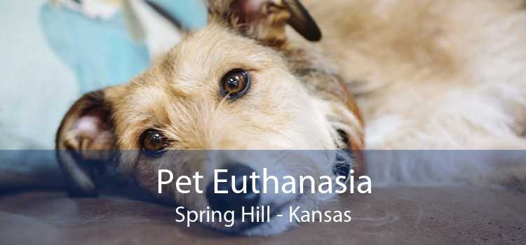 Pet Euthanasia Spring Hill - Kansas