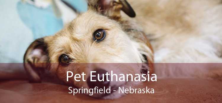 Pet Euthanasia Springfield - Nebraska