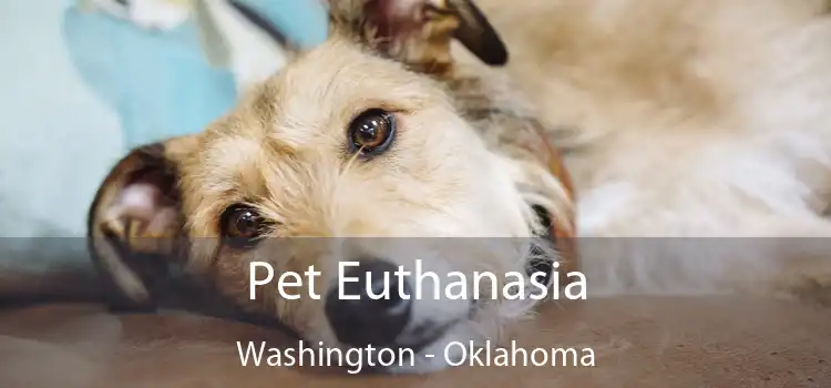 Pet Euthanasia Washington - Oklahoma