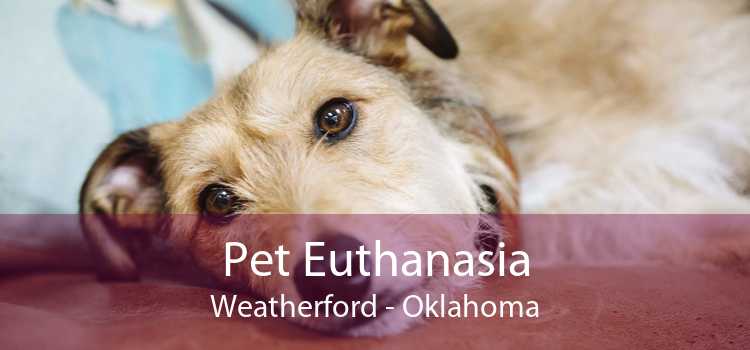 Pet Euthanasia Weatherford - Oklahoma