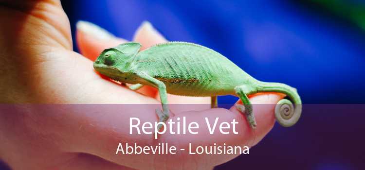 Reptile Vet Abbeville - Louisiana