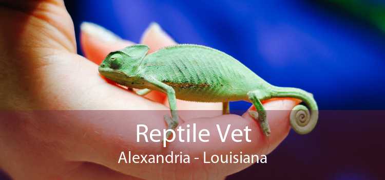 Reptile Vet Alexandria - Louisiana