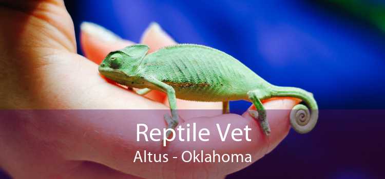 Reptile Vet Altus - Oklahoma