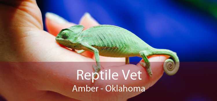 Reptile Vet Amber - Oklahoma