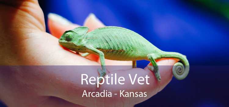 Reptile Vet Arcadia - Kansas
