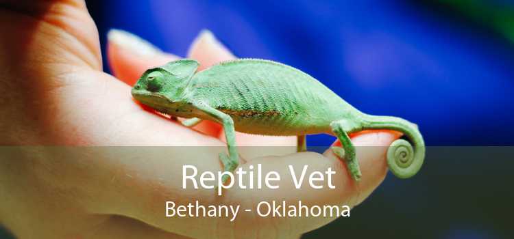 Reptile Vet Bethany - Oklahoma