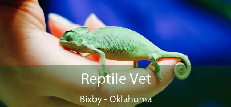 Reptile Vet Bixby - Oklahoma