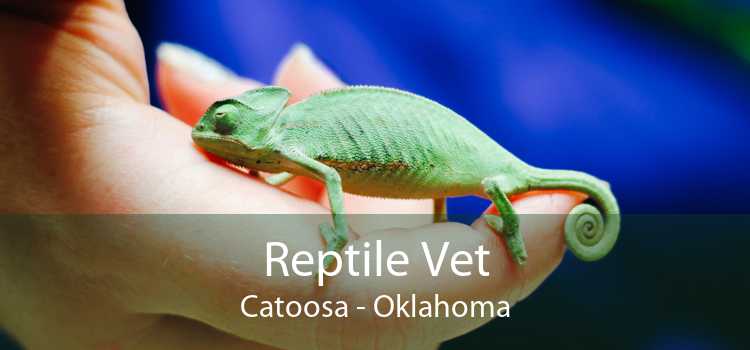 Reptile Vet Catoosa - Oklahoma