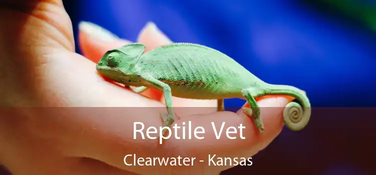 Reptile Vet Clearwater - Kansas