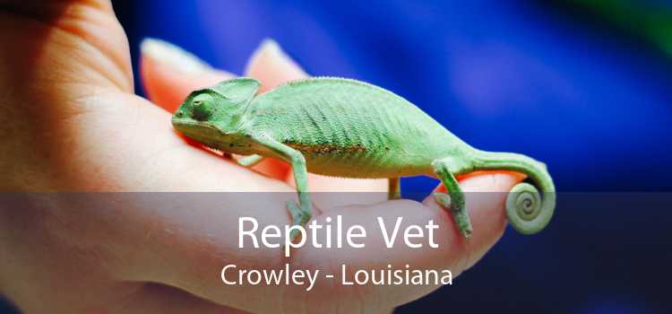 Reptile Vet Crowley - Louisiana