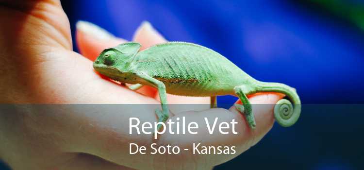Reptile Vet De Soto - Kansas