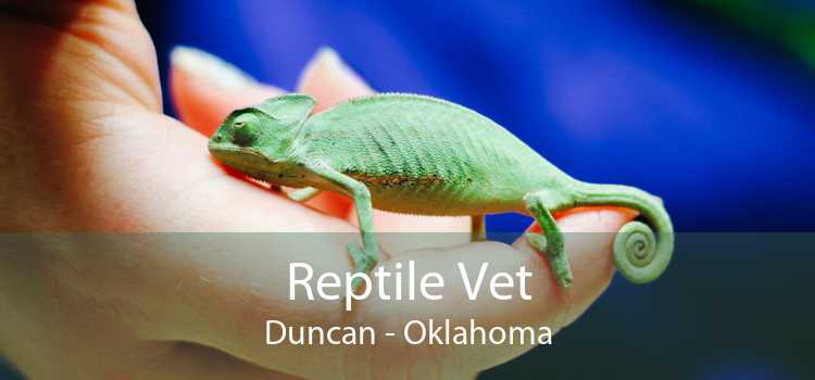Reptile Vet Duncan - Oklahoma