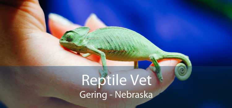 Reptile Vet Gering - Nebraska