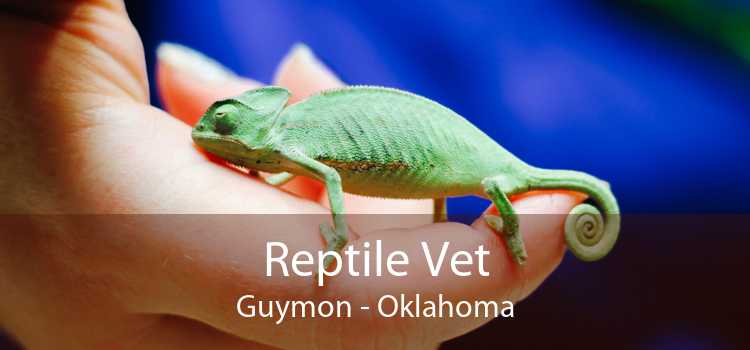 Reptile Vet Guymon - Oklahoma