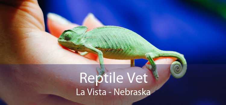 Reptile Vet La Vista - Nebraska