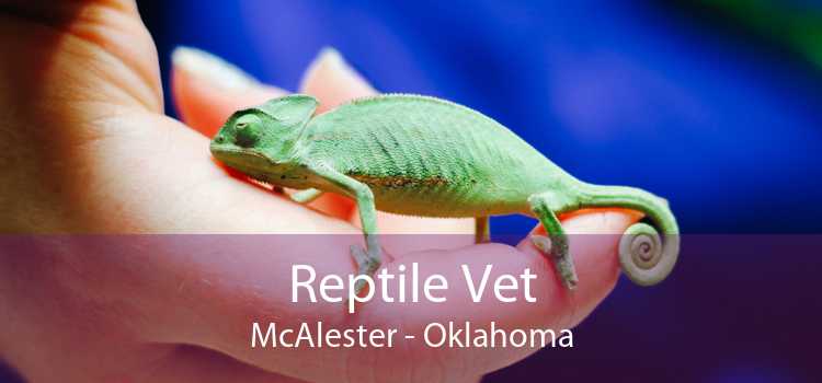 Reptile Vet McAlester - Oklahoma
