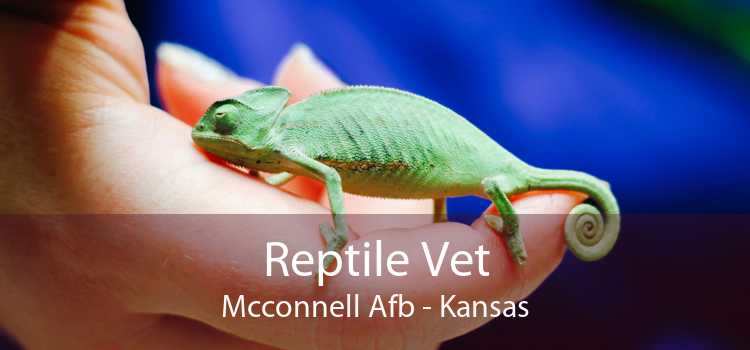 Reptile Vet Mcconnell Afb - Kansas