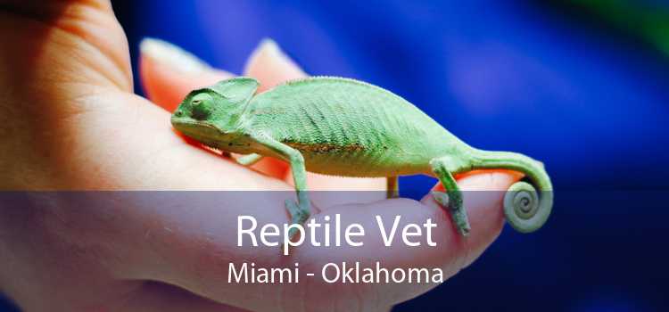 Reptile Vet Miami - Oklahoma
