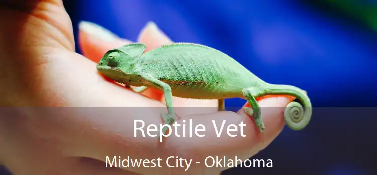 Reptile Vet Midwest City - Oklahoma