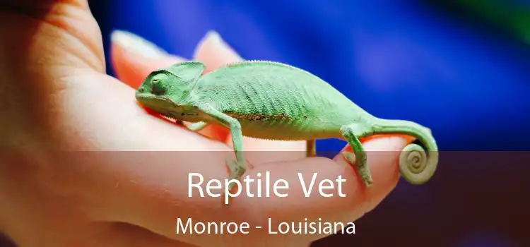 Reptile Vet Monroe - Louisiana