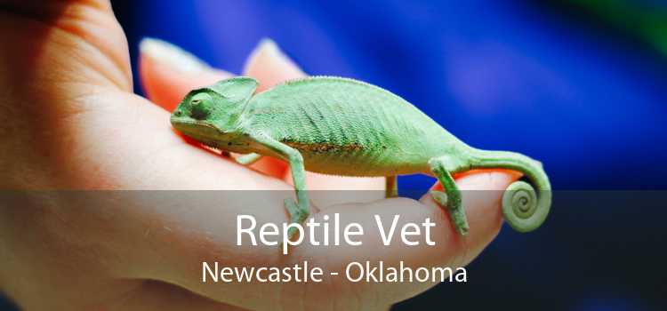 Reptile Vet Newcastle - Oklahoma