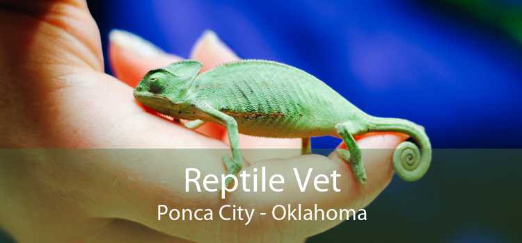 Reptile Vet Ponca City - Oklahoma