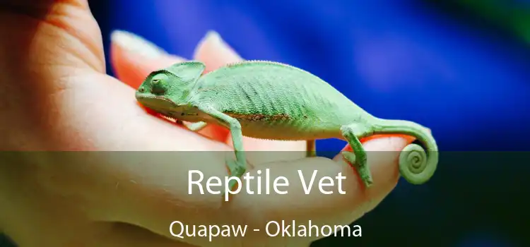 Reptile Vet Quapaw - Oklahoma