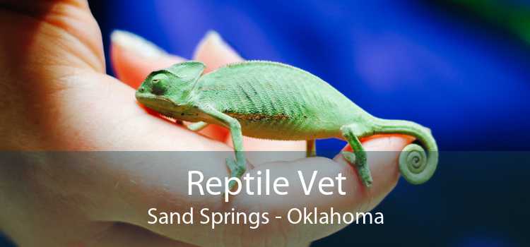 Reptile Vet Sand Springs - Oklahoma
